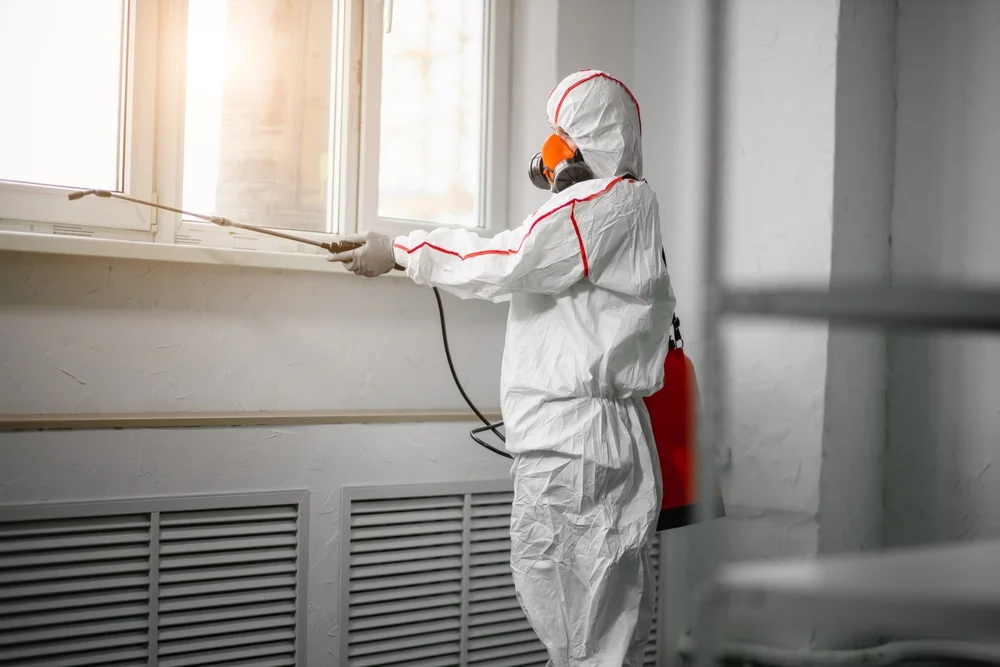 Professional mold remediation services in Waldron, MO